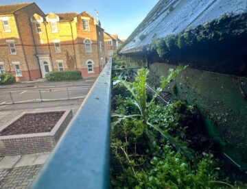 Gutter Cleaning